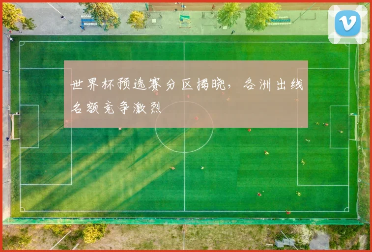 世界杯预选赛分区揭晓,各洲出线名额竞争激烈