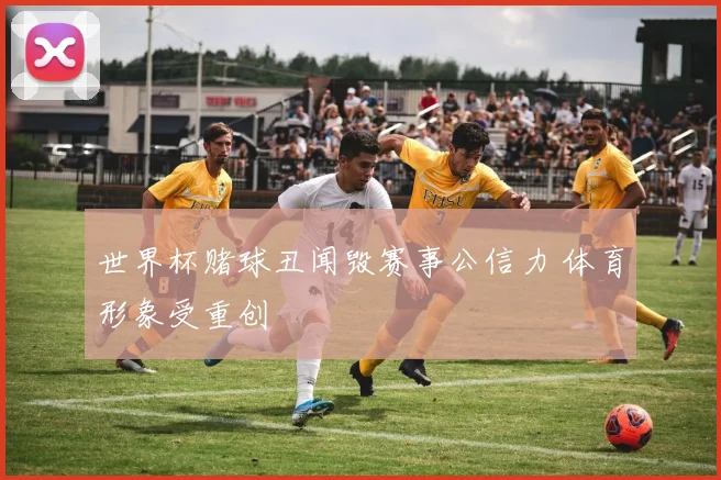 世界杯赌球丑闻毁赛事公信力 体育形象受重创