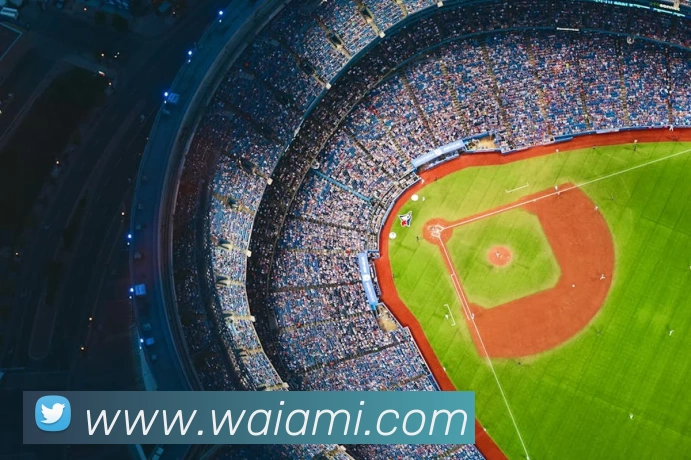 乐竞在线网页版入口服务体系